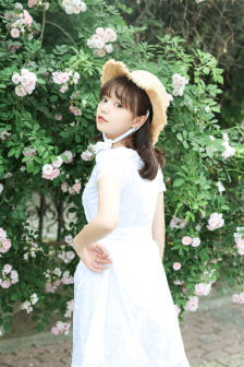 岳婿合体内容介绍